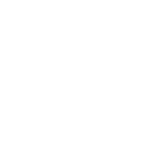 Lucho Transport